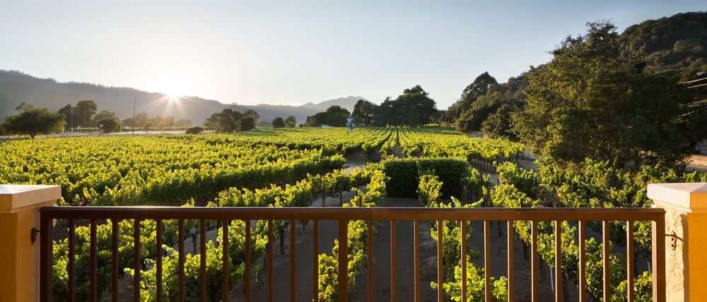 Napa Valley Lodge Yountville Eksteriør bilde